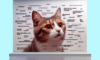 Cat Memes: Your Guide to Feline Internet Stardom Tips