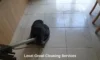 Grout Cleaners: Best Local Choices Around Longcross