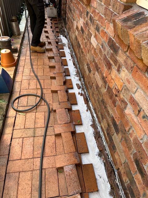 Termite Reticulation Systems for Dependable Sydney Protection