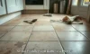 Grout Cleaning Services Available Now in Battersea