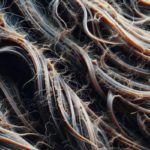 Reversing Heat Damage: Effective Strategies for Restoration