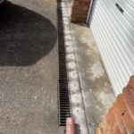 Termite Protection: Discovering the Best Coverage for Homes