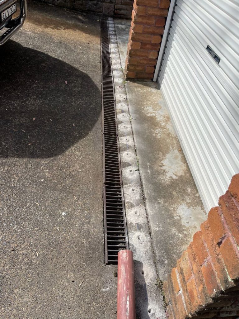 Termite Protection: Discovering the Best Coverage for Homes