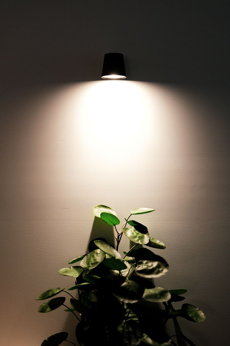 Outdoor Feature Lights Installed