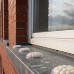 Bird Proofing Solutions: Spike-Free Gel Repellent Choices