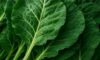 Collard Greens for a Healthy Slow-Cooked Dinner Recipe
