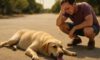 Heat Exhaustion Treatment: Essential Recovery Tips for Pets