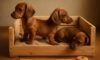 Puppy Comfort Tips for a Cosy Crate Setup